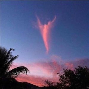 Meet your Posher, Demarkco